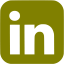 olive linkedin 6 icon