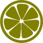 olive orange icon