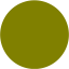 olive record icon