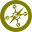 olive safari icon