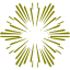 olive snowflake 38 icon