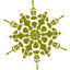 olive snowflake 40 icon