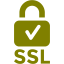 olive ssl badge 2 icon