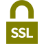 olive ssl badge 4 icon