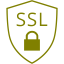 olive ssl badge icon