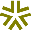 olive star 22 icon