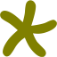 olive star 24 icon