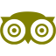 olive tripadvisor icon