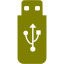 olive usb 2 icon