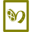 olive video file 2 icon