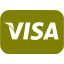 olive visa icon