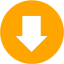 orange arrow 209 icon