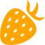 orange berry icon