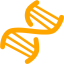 orange dna helix icon