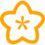 orange flower icon