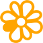 orange icq 6 icon