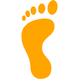 left footprint icon