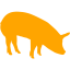 orange pig 5 icon