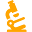 orange research icon