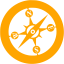 orange safari icon