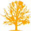 orange tree icon