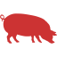 pig 4