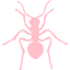 pink ant icon