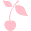 pink cherry icon