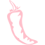 pink chili pepper 13 icon