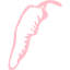 pink chili pepper 20 icon