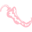 pink chili pepper 4 icon