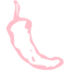 pink chili pepper 8 icon