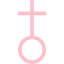 pink church 2 icon