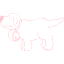 pink dog 18 icon