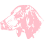 pink dog 20 icon