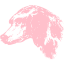 pink dog 27 icon