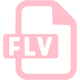 flv icon