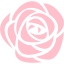 pink rose icon