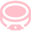 pink shoe polish icon
