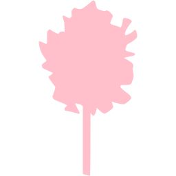 tree 12 icon