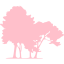 pink tree 56 icon