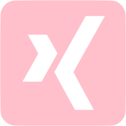 xing 3 icon