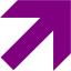 purple arrow 304 icon