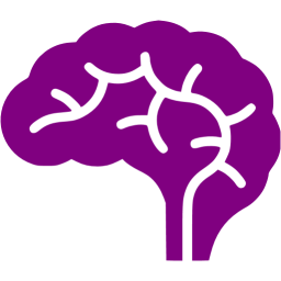 brain icon