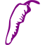 purple chili pepper 20 icon