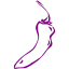 purple chili pepper 25 icon