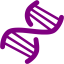 purple dna helix icon