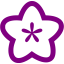 purple flower icon