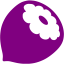 purple hazelnut icon