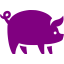 purple pig icon